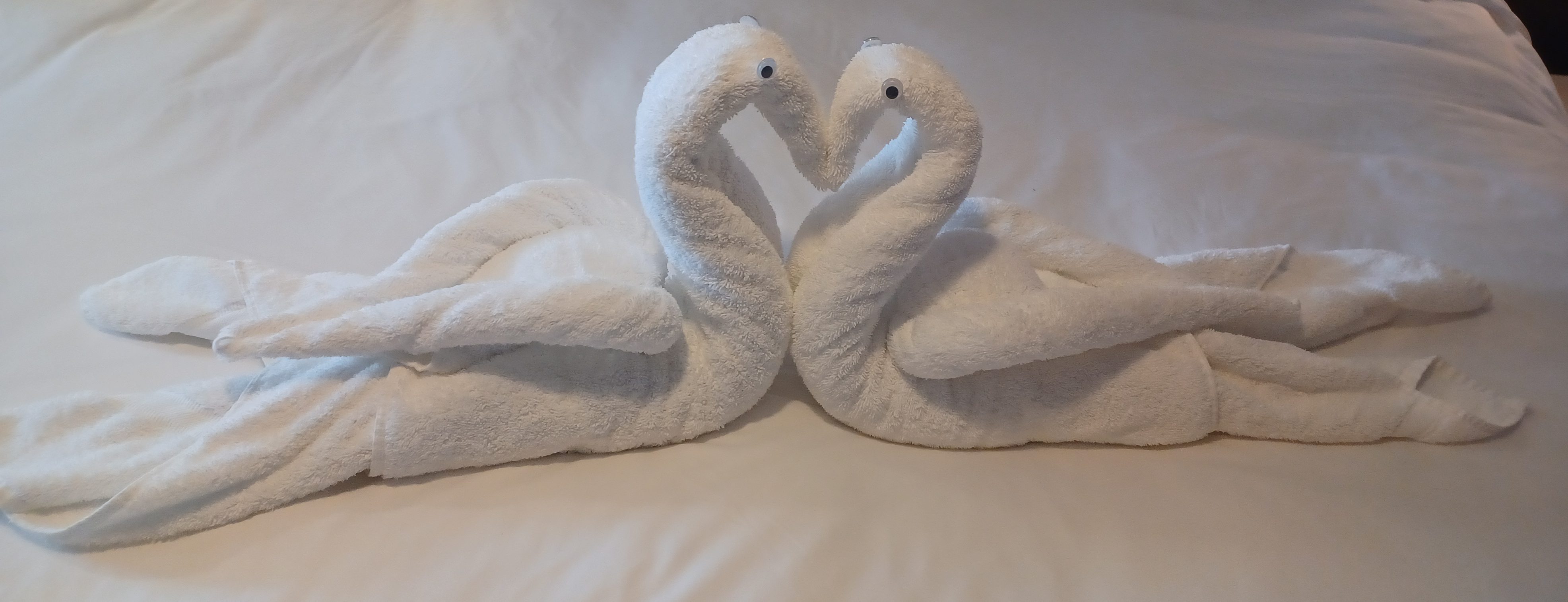two white towels folded into swans
