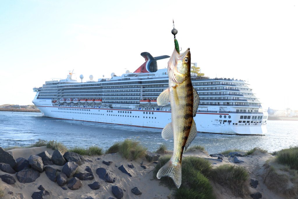a fish from a fishing hook next to a cruise ship