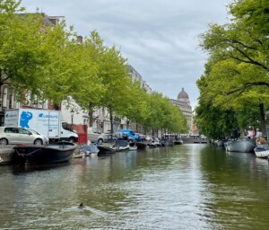 a canal with boats and trees