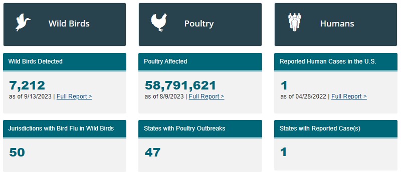 a screenshot of a poultry report