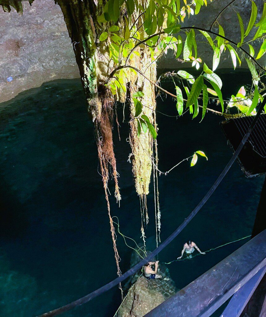 Cenote Swim on a Costa Maya Excursion AmEx Viator