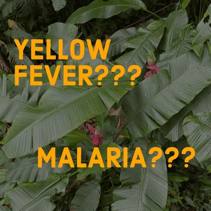 Yellow Fever Malaria