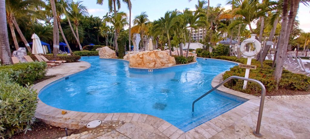 a pool with palm trees and rocks