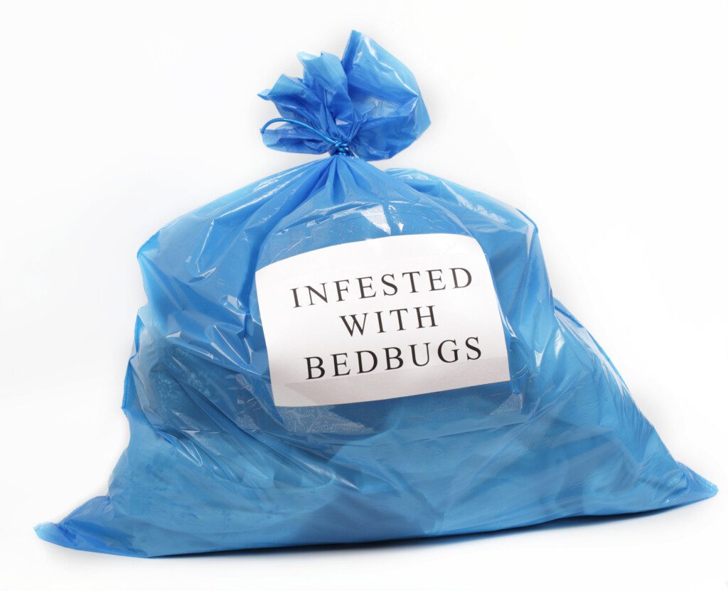 a blue garbage bag with a white sign indicating a bed bug infestation