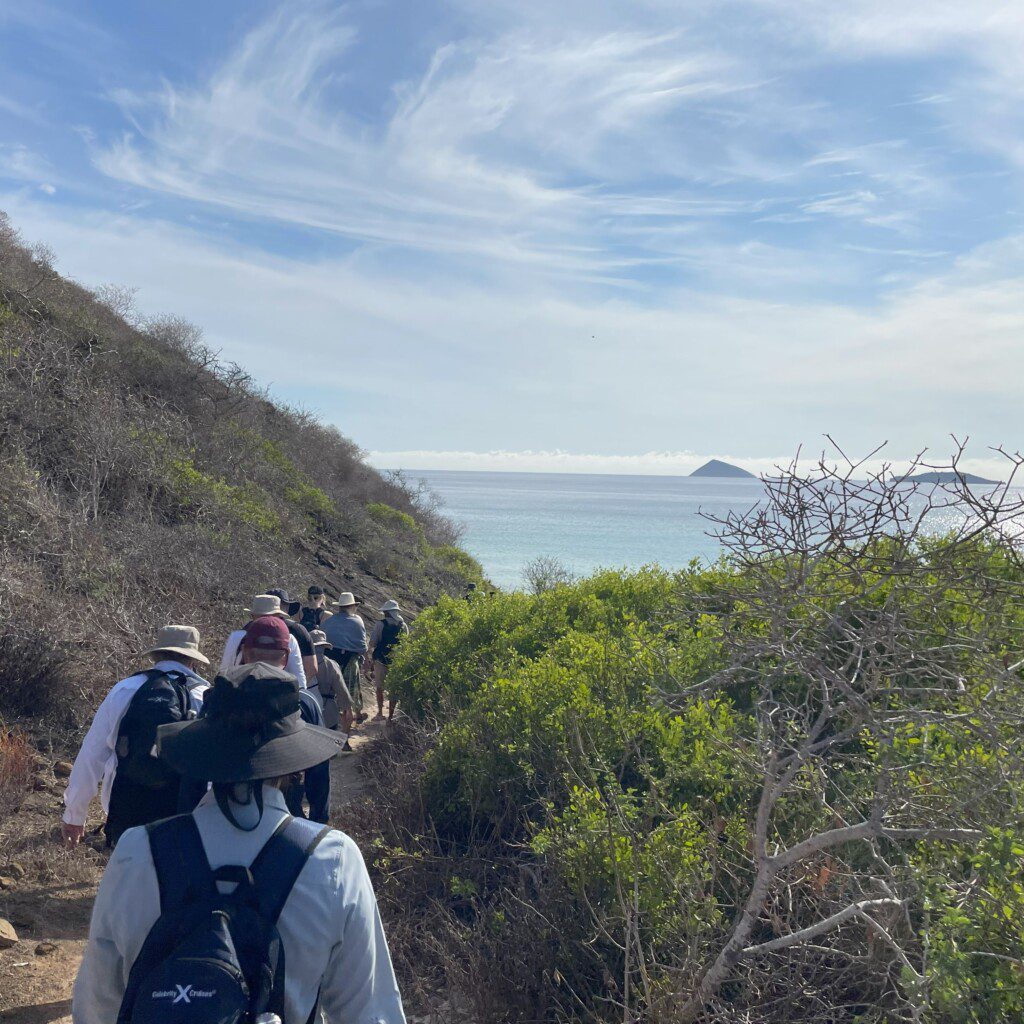 a group of people walking on a trail