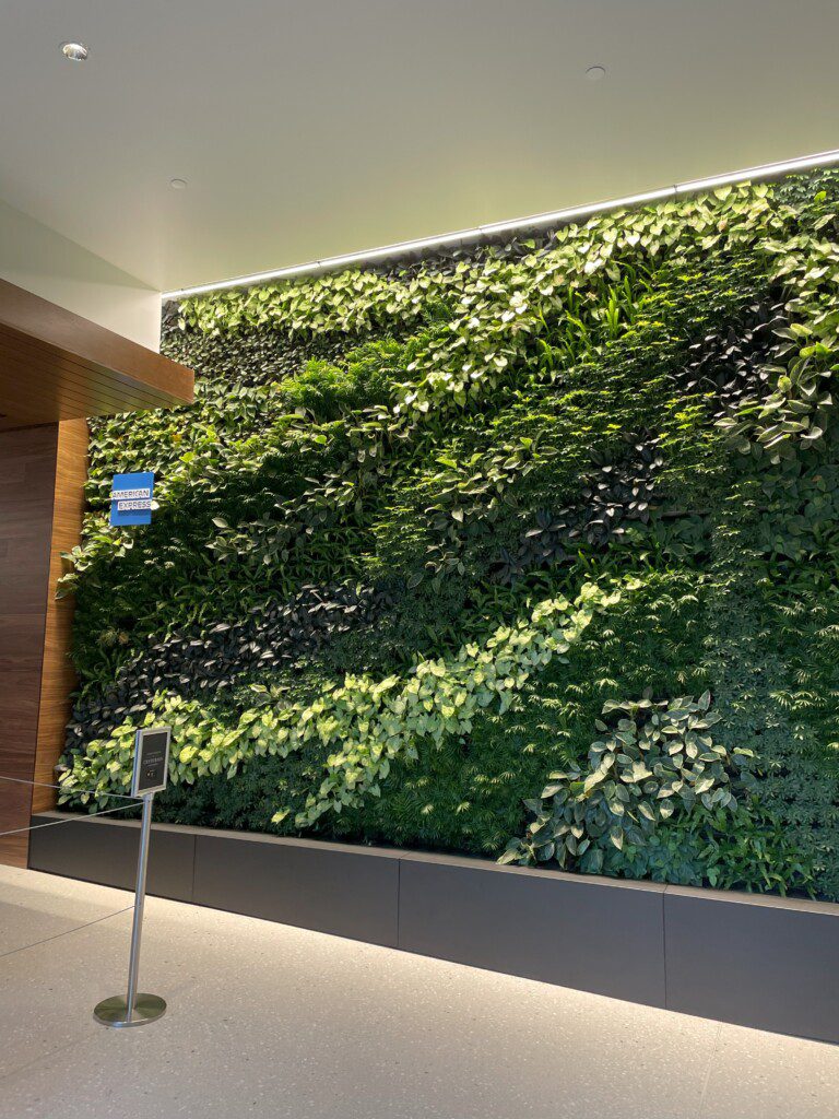 a green wall with plants on it